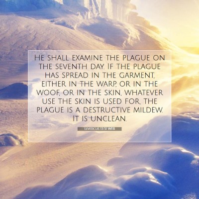 Picture 07 - Leviticus 13:51 WEB - He shall examine the plague on the seventh day. - Bible Verse Picture