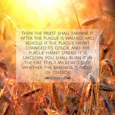 Picture 07 - Leviticus 13:55 WEB - Then the priest shall examine it, after the - Bible Verse Picture