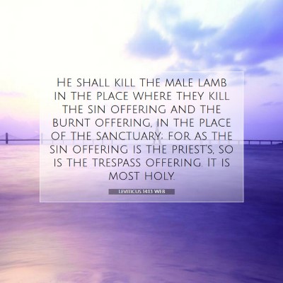 Picture 07 - Leviticus 14:13 WEB - He shall kill the male lamb in the place where - Bible Verse Picture