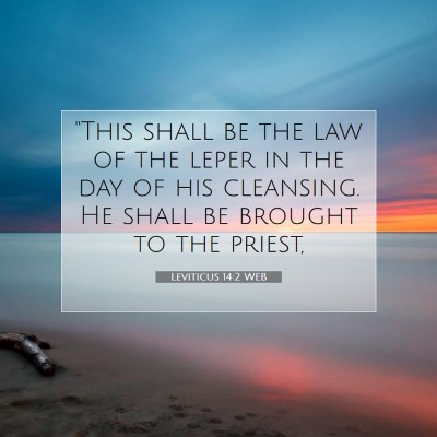 Picture 07 - Leviticus 14:2 WEB - 