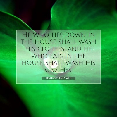 Picture 07 - Leviticus 14:47 WEB - He who lies down in the house shall wash his - Bible Verse Picture