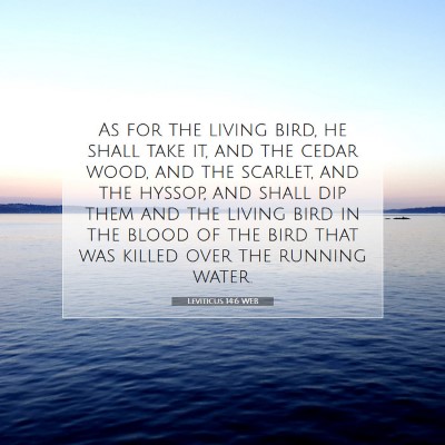 Picture 07 - Leviticus 14:6 WEB - As for the living bird, he shall take it, and the - Bible Verse Picture