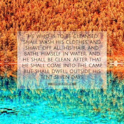 Picture 07 - Leviticus 14:8 WEB -