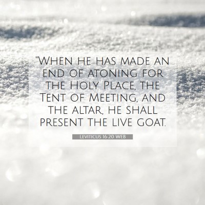 Picture 07 - Leviticus 16:20 WEB - 