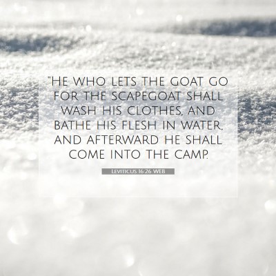 Picture 07 - Leviticus 16:26 WEB - 