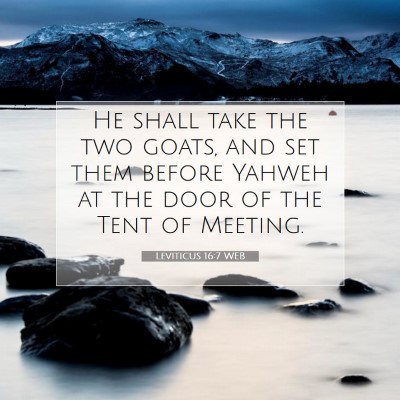 Picture 07 - Leviticus 16:7 WEB - He shall take the two goats, and set them before - Bible Verse Picture