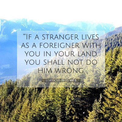 Picture 07 - Leviticus 19:33 WEB - 