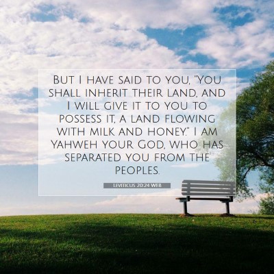 Picture 07 - Leviticus 20:24 WEB - But I have said to you, 