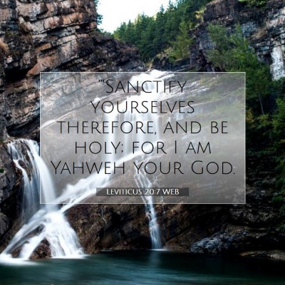 Picture 07 - Leviticus 20:7 WEB - 