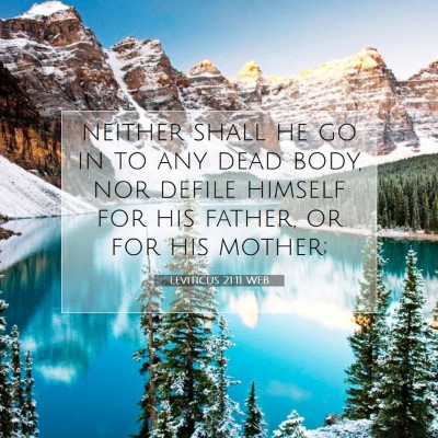 Picture 07 - Leviticus 21:11 WEB - neither shall he go in to any dead body, nor - Bible Verse Picture