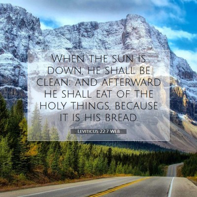 Picture 07 - Leviticus 22:7 WEB - When the sun is down, he shall be clean; and - Bible Verse Picture