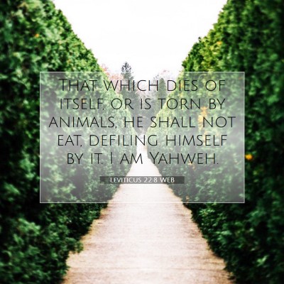 Picture 07 - Leviticus 22:8 WEB - That which dies of itself, or is torn by animals, - Bible Verse Picture