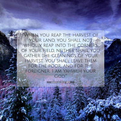 Picture 07 - Leviticus 23:22 WEB - 