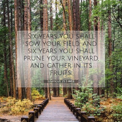 Picture 07 - Leviticus 25:3 WEB - Six years you shall sow your field, and six years - Bible Verse Picture