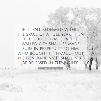 Picture 07 - Leviticus 25:30 WEB - If it isn't redeemed within the space of a full - Bible Verse Picture