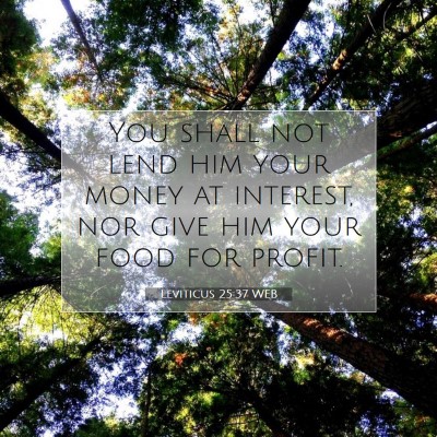 Picture 07 - Leviticus 25:37 WEB - You shall not lend him your money at interest, - Bible Verse Picture