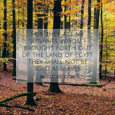 Picture 07 - Leviticus 25:42 WEB - For they are my servants, whom I brought forth - Bible Verse Picture