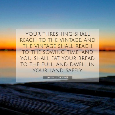 Picture 07 - Leviticus 26:5 WEB - Your threshing shall reach to the vintage, and - Bible Verse Picture