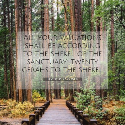 Picture 07 - Leviticus 27:25 WEB - All your valuations shall be according to the - Bible Verse Picture