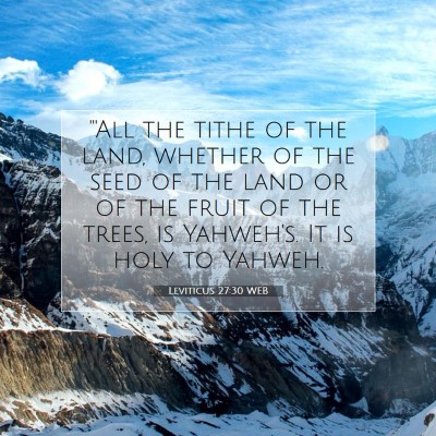 Picture 07 - Leviticus 27:30 WEB - 