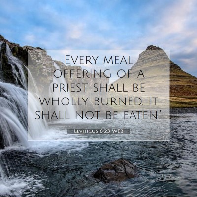 Picture 07 - Leviticus 6:23 WEB - Every meal offering of a priest shall be wholly - Bible Verse Picture