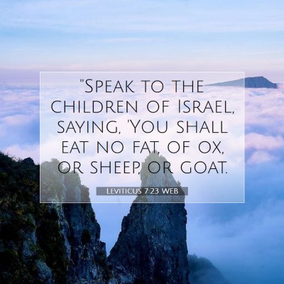 Picture 07 - Leviticus 7:23 WEB - 