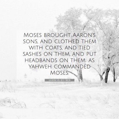 Picture 07 - Leviticus 8:13 WEB - Moses brought Aaron's sons, and clothed them with - Bible Verse Picture