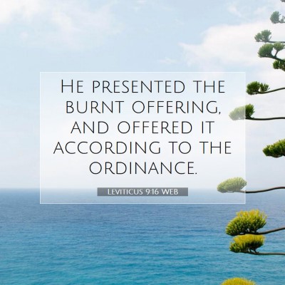 Picture 07 - Leviticus 9:16 WEB - He presented the burnt offering, and offered it - Bible Verse Picture