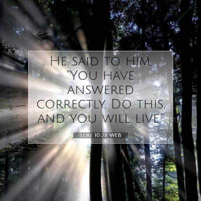 Picture 07 - Luke 10:28 WEB - He said to him, 