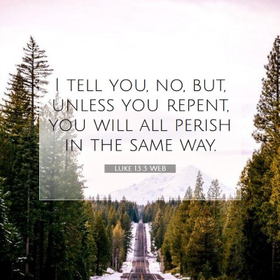 Picture 07 - Luke 13:3 WEB - I tell you, no, but, unless you repent, you will - Bible Verse Picture