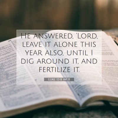 Picture 07 - Luke 13:8 WEB - He answered, 'Lord, leave it alone this year - Bible Verse Picture