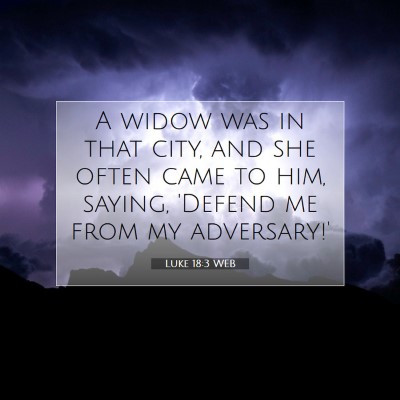 Picture 07 - Luke 18:3 WEB - A widow was in that city, and she often came to - Bible Verse Picture