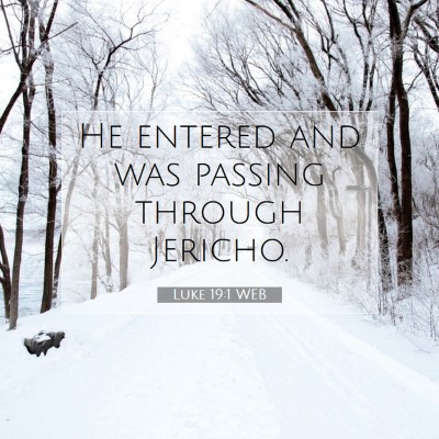 Picture 07 - Luke 19:1 WEB - He entered and was passing through - Bible Verse Picture