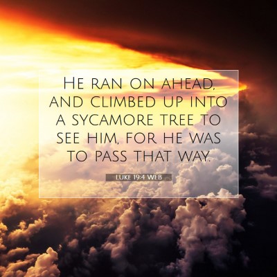 Picture 07 - Luke 19:4 WEB - He ran on ahead, and climbed up into a sycamore - Bible Verse Picture