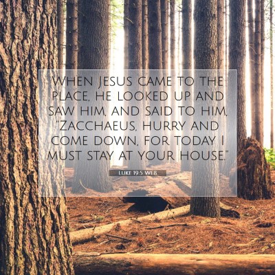 Picture 07 - Luke 19:5 WEB - When Jesus came to the place, he looked up and - Bible Verse Picture