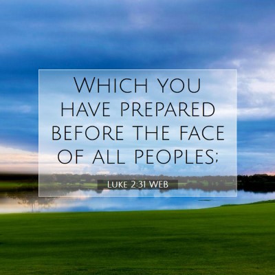 Picture 07 - Luke 2:31 WEB - Which you have prepared before the face of all - Bible Verse Picture