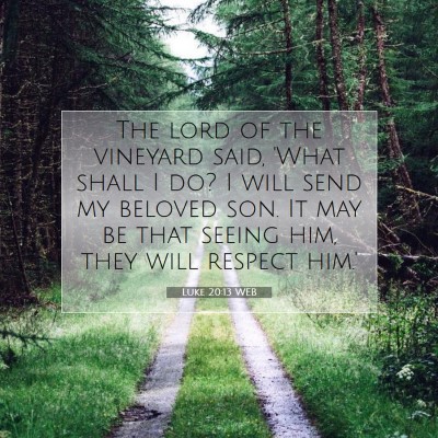 Picture 07 - Luke 20:13 WEB - The lord of the vineyard said, 'What shall I do? - Bible Verse Picture