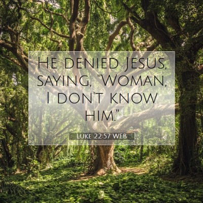 Picture 07 - Luke 22:57 WEB - He denied Jesus, saying, 