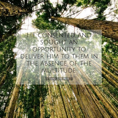 Picture 07 - Luke 22:6 WEB - He consented, and sought an opportunity to - Bible Verse Picture