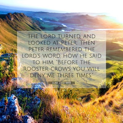 Picture 07 - Luke 22:61 WEB - The Lord turned, and looked at Peter. Then Peter - Bible Verse Picture