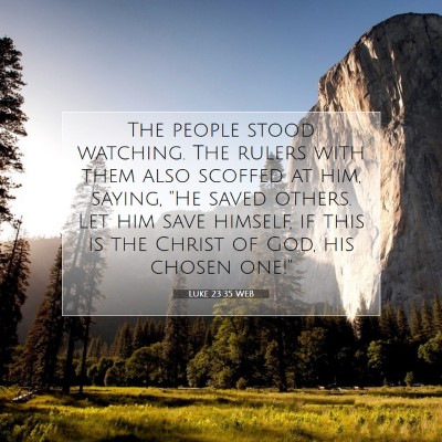 Picture 07 - Luke 23:35 WEB - The people stood watching. The rulers with them - Bible Verse Picture