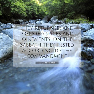 Picture 07 - Luke 23:56 WEB - They returned, and prepared spices and ointments. - Bible Verse Picture