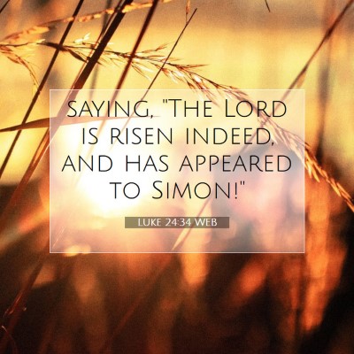 Picture 07 - Luke 24:34 WEB - saying, 