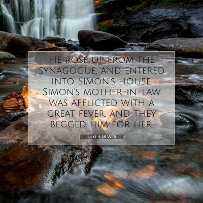 Picture 07 - Luke 4:38 WEB - He rose up from the synagogue, and entered into - Bible Verse Picture