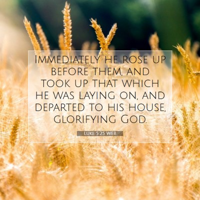Picture 07 - Luke 5:25 WEB - Immediately he rose up before them, and took up - Bible Verse Picture