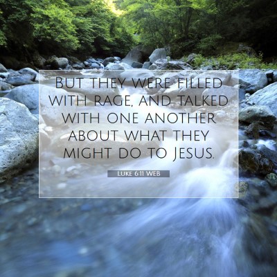 Picture 07 - Luke 6:11 WEB - But they were filled with rage, and talked with - Bible Verse Picture