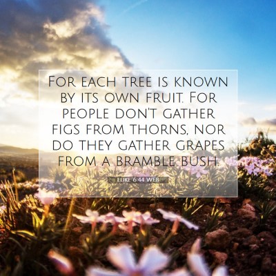 Picture 07 - Luke 6:44 WEB - For each tree is known by its own fruit. For - Bible Verse Picture