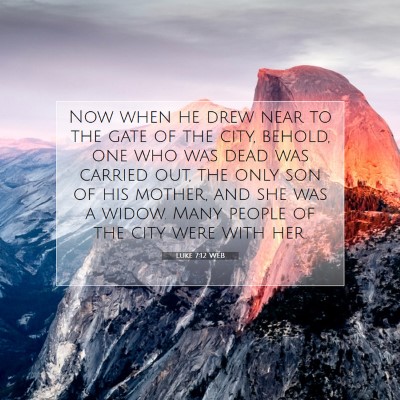Picture 07 - Luke 7:12 WEB - Now when he drew near to the gate of the city, - Bible Verse Picture