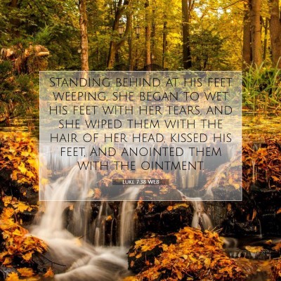 Picture 07 - Luke 7:38 WEB - Standing behind at his feet weeping, she began to - Bible Verse Picture