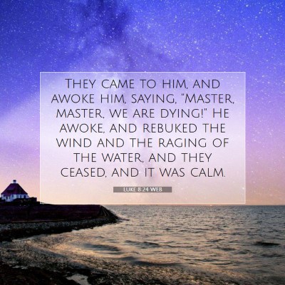 Picture 07 - Luke 8:24 WEB - They came to him, and awoke him, saying, 